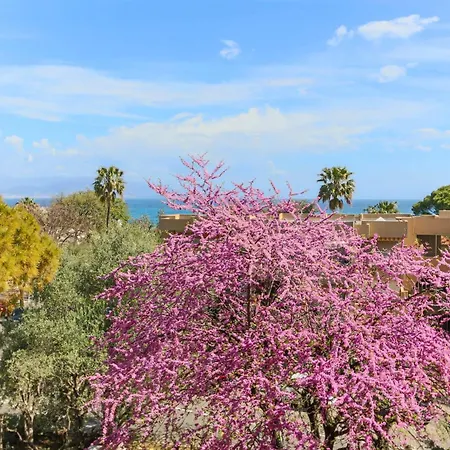 Beautiful Flat With Sea View Terrace Pool Parking Portative Ac- Benakey Апартаменты Антиб